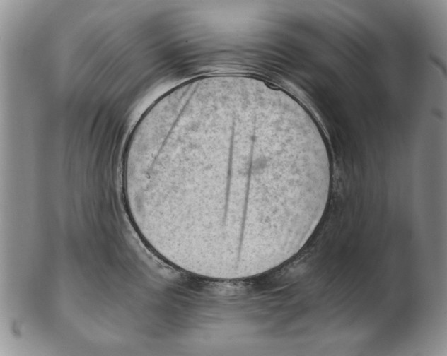 X0000102761195200809080934