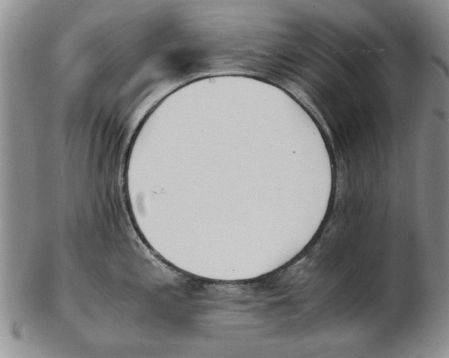 X0000102761197200809080934