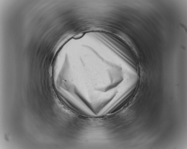 X0000102761198200809080934