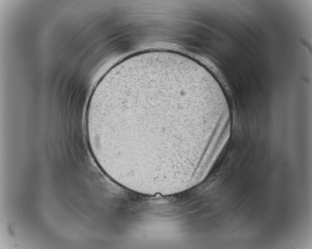 X0000102761199200809080934