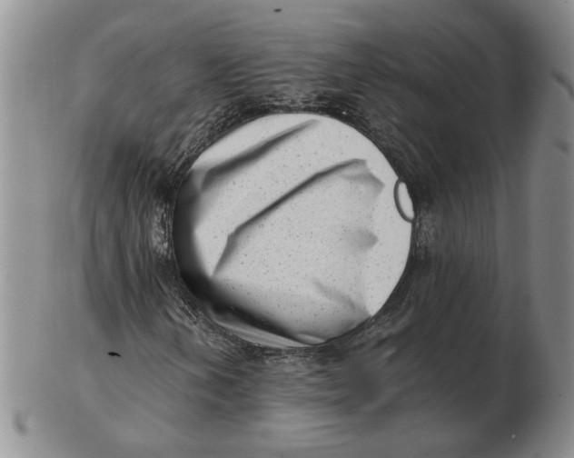 X0000102761202200809080933