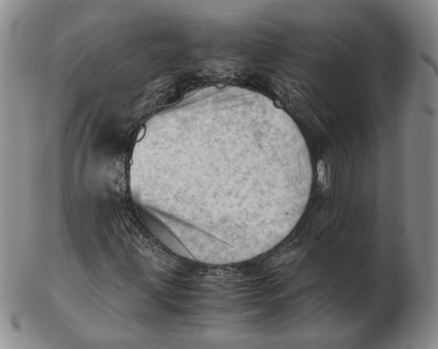 X0000102761203200809080933