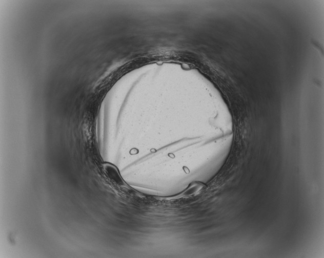 X0000102761206200809080933