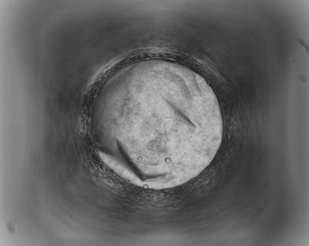 X0000102761207200809080933