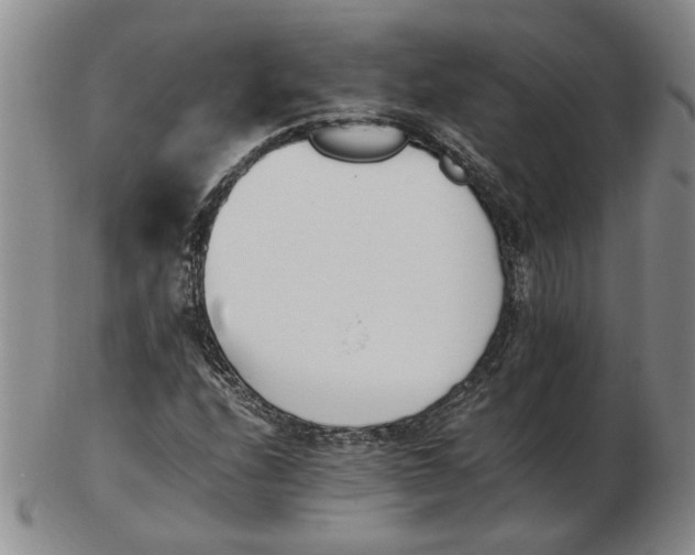 X0000102761208200809080933