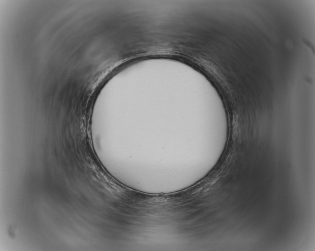 X0000102761212200809080933