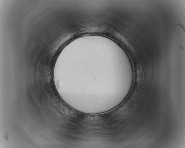 X0000102761213200809080933