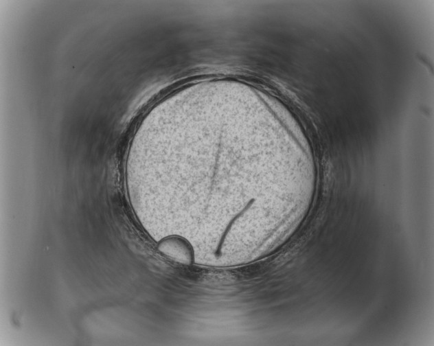 X0000102761215200809080933