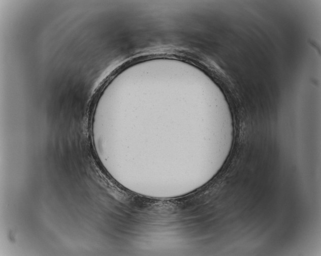 X0000102761216200809080933