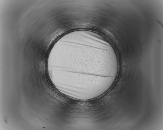 X0000102761218200809080933