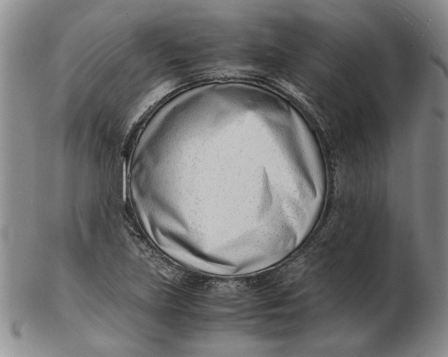 X0000102761219200809080933