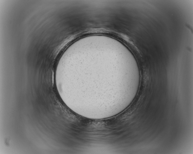 X0000102761221200809080933