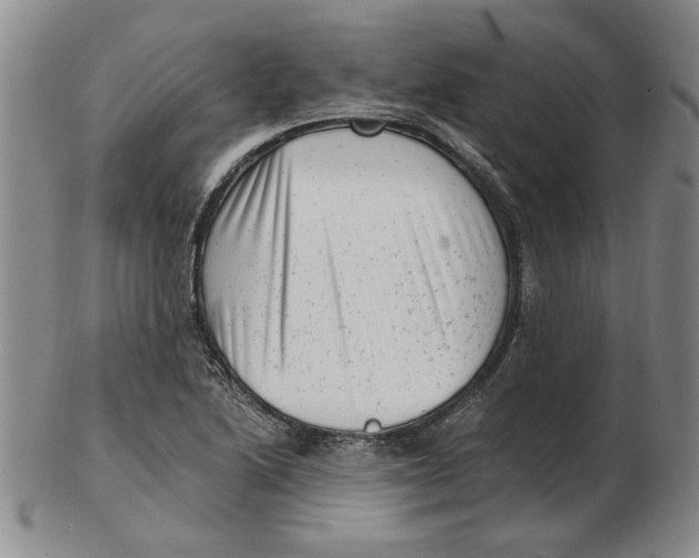 X0000102761222200809080933