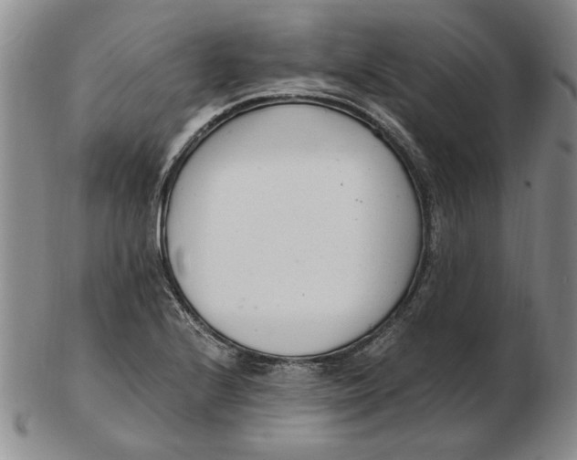 X0000102761224200809080933