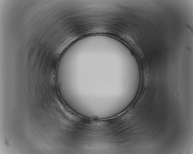 X0000102761225200809080933