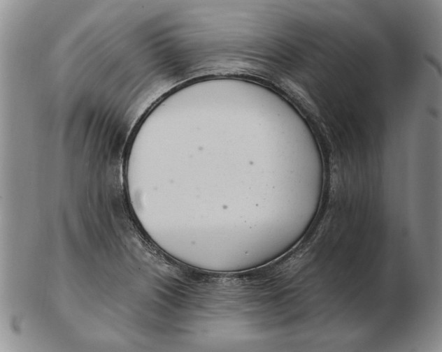 X0000102761226200809080933