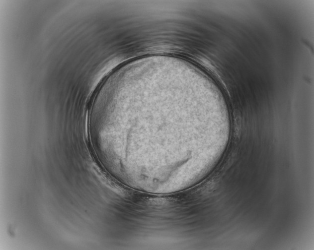 X0000102761227200809080933