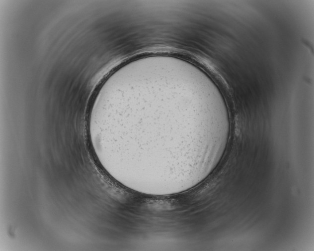 X0000102761229200809080933