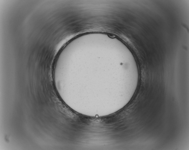 X0000102761230200809080933