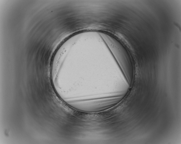 X0000102761232200809080933