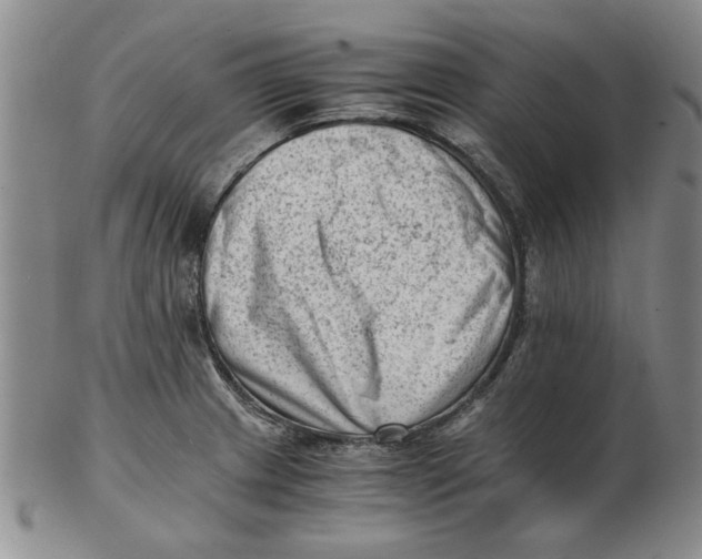 X0000102761233200809080933