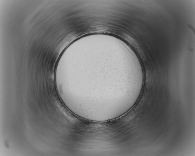 X0000102761234200809080934