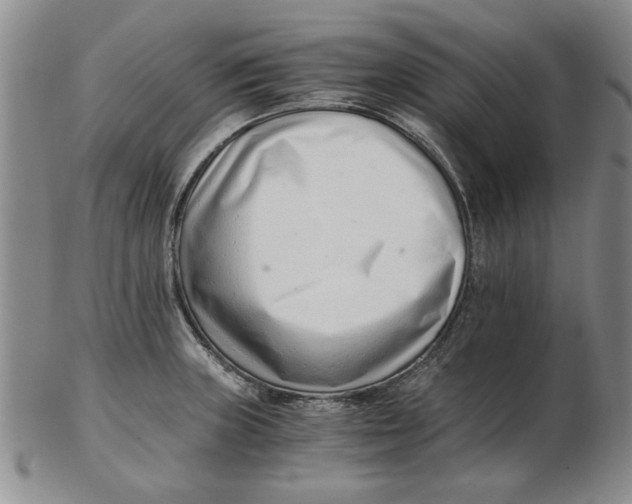 X0000102761235200809080934