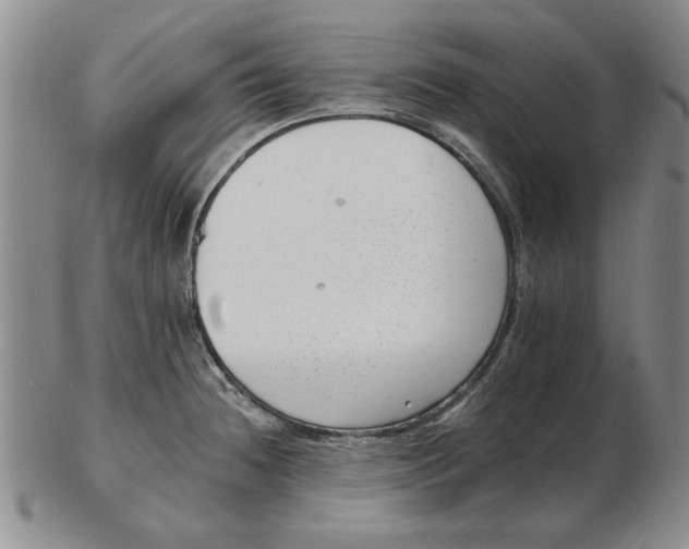 X0000102761236200809080934