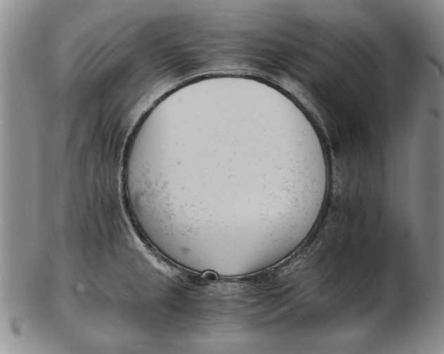 X0000102761237200809080934