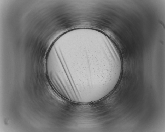 X0000102761238200809080934