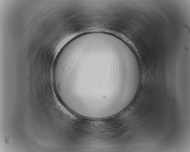 X0000102761239200809080934