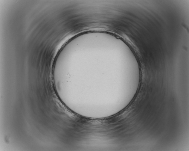 X0000102761240200809080934