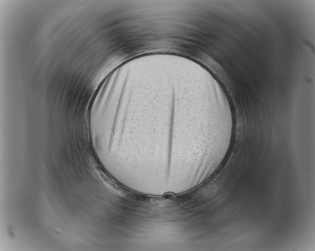 X0000102761242200809080934