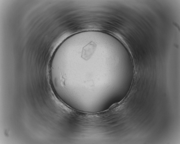 X0000102761243200809080934