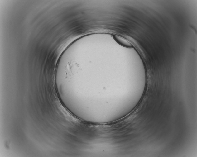 X0000102761244200809080934