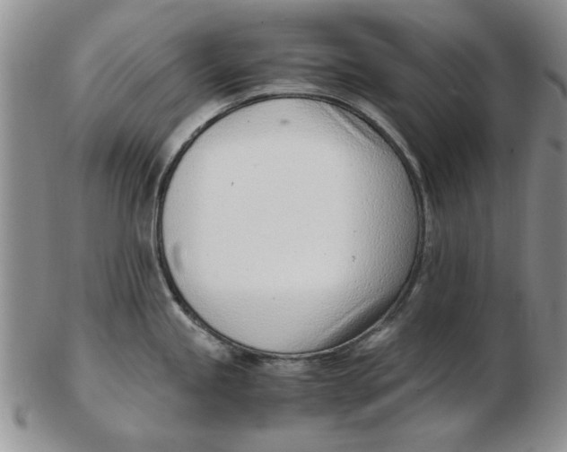 X0000102761245200809080934