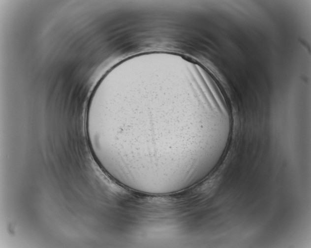 X0000102761246200809080934