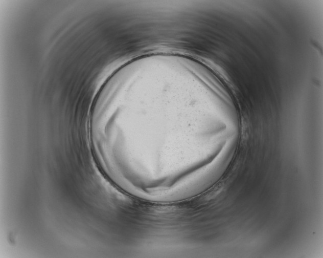 X0000102761247200809080934