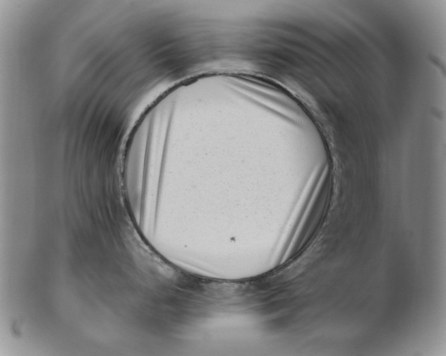 X0000102761248200809080934