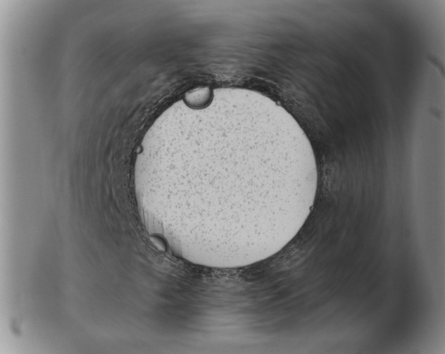 X0000102761249200809080933