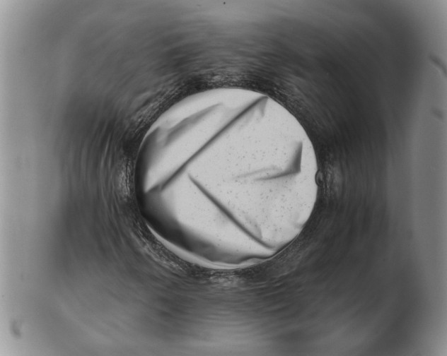 X0000102761250200809080933