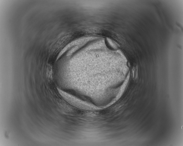 X0000102761251200809080933