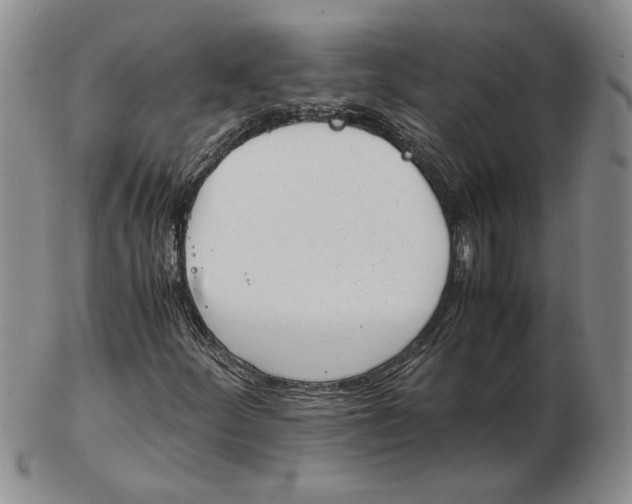 X0000102761252200809080933