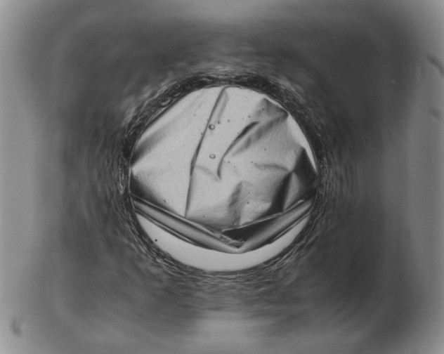 X0000102761253200809080933