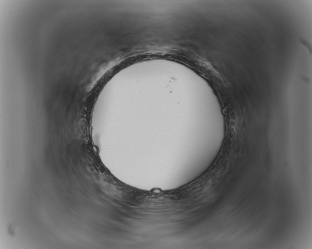 X0000102761256200809080933