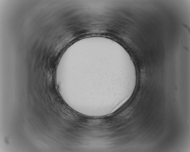 X0000102761257200809080933