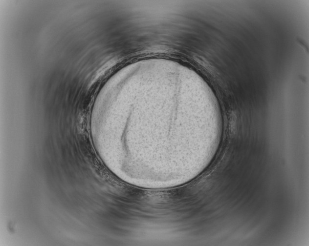 X0000102761258200809080933