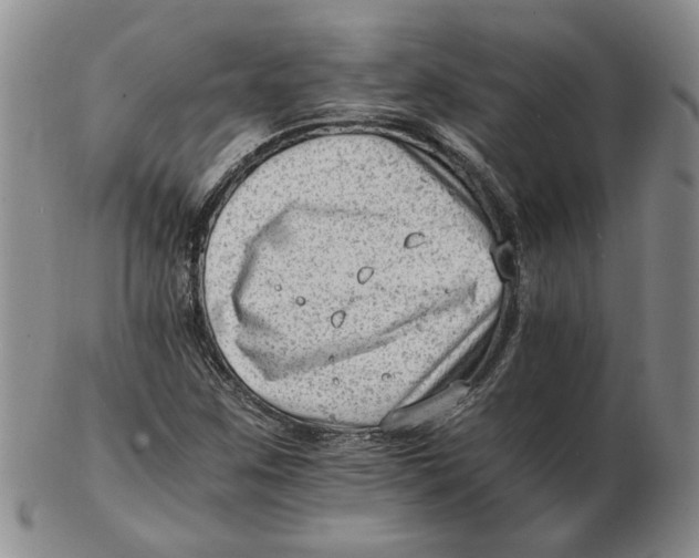 X0000102761259200809080933