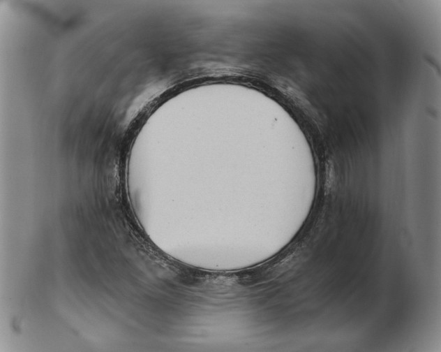 X0000102761261200809080933