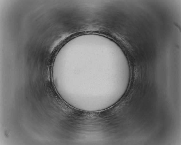 X0000102761262200809080933